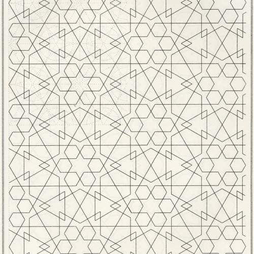 BOU 021